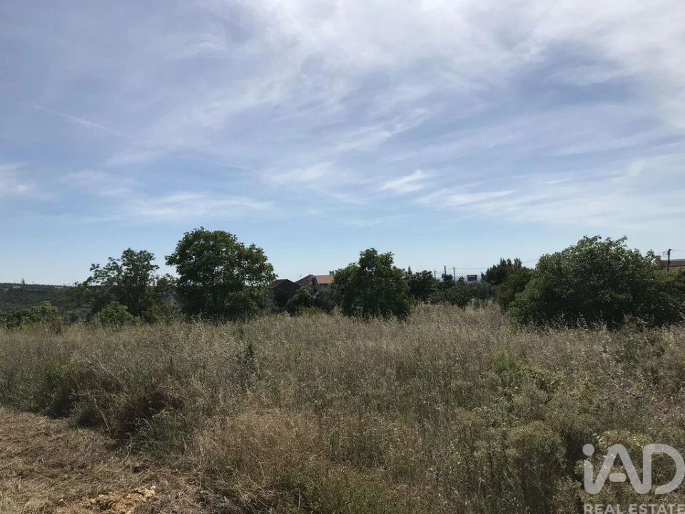Terreno para Venda em Colmeias e Memória Foto 13