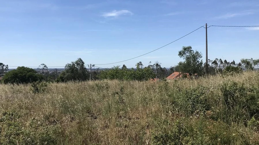 Terreno para Venda em Colmeias e Memória