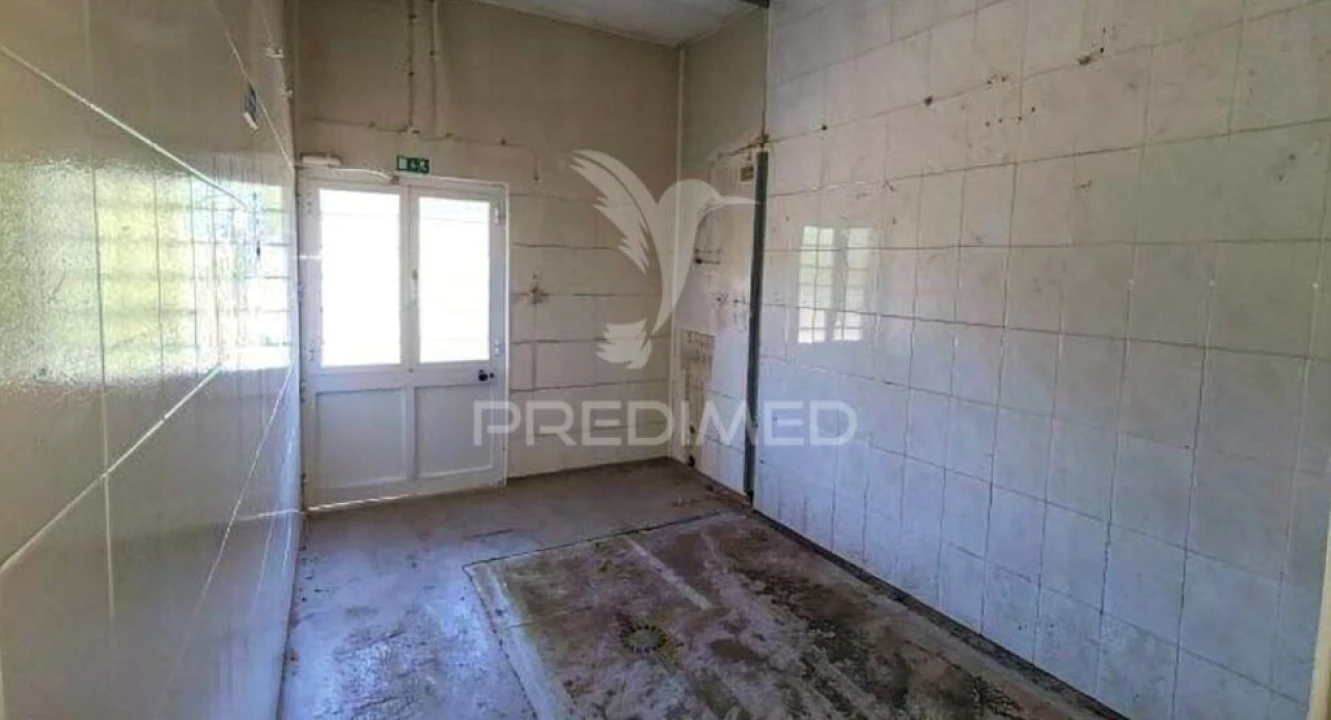Armazém para Venda em Recardães e Espinhel Foto 15