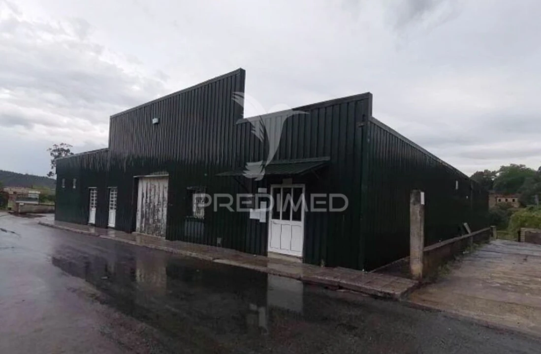 Armazém para Venda em Recardães e Espinhel Foto 17
