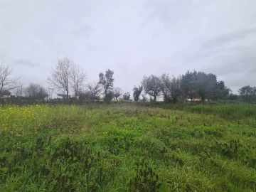 Terreno para Venda em Arrifana