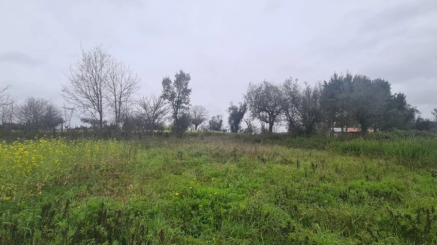 Terreno para Venda em Arrifana