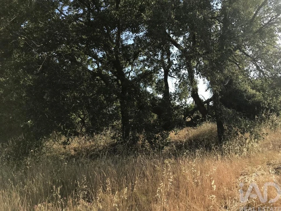 Terreno para Venda em Chãos Foto 22