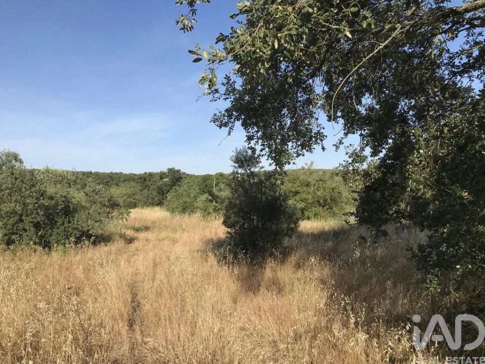 Terreno para Venda em Chãos Foto 1