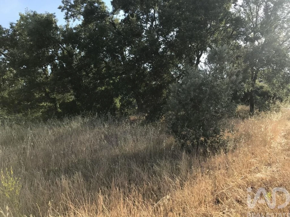 Terreno para Venda em Chãos Foto 17