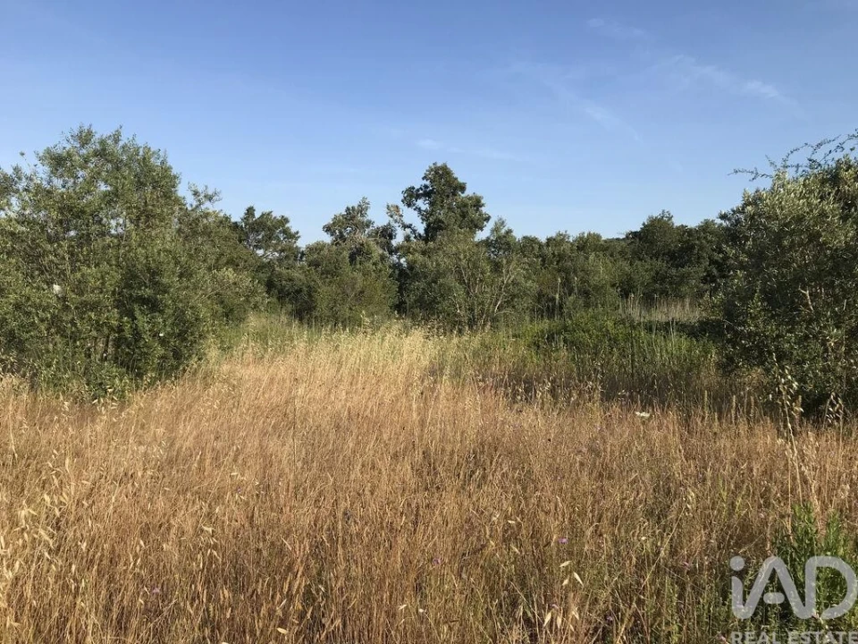 Terreno para Venda em Chãos Foto 6