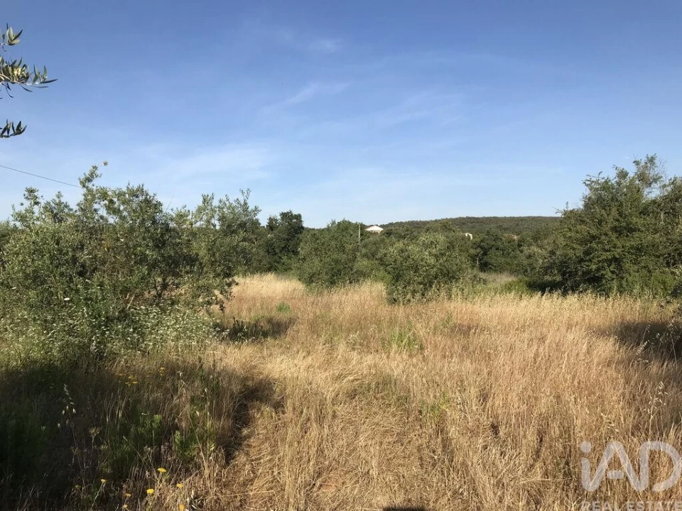 Terreno para Venda em Chãos Foto 14