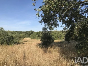 Terreno para Venda em Chãos