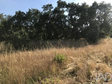 Terreno para Venda em Chãos