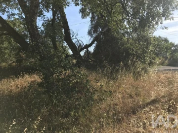 Terreno para Venda em Chãos