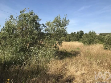 Terreno para Venda em Chãos