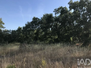 Terreno para Venda em Chãos