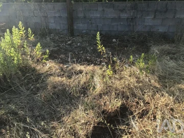 Terreno para Venda em Chãos