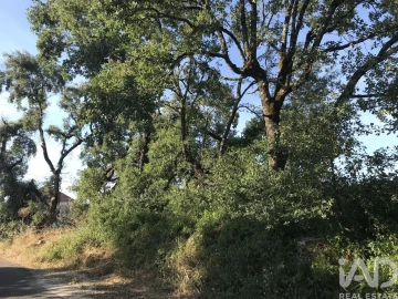 Terreno para Venda em Chãos