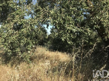 Terreno para Venda em Chãos
