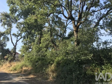 Terreno para Venda em Chãos