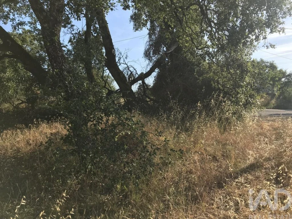 Terreno para Venda em Chãos Foto 19