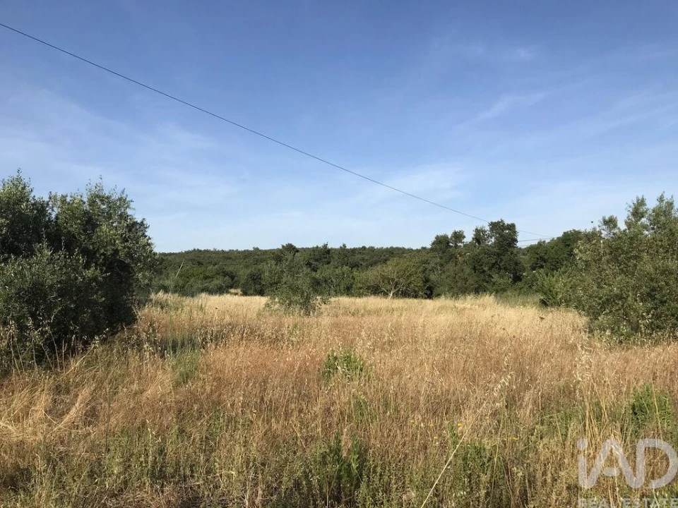 Terreno para Venda em Chãos Foto 4