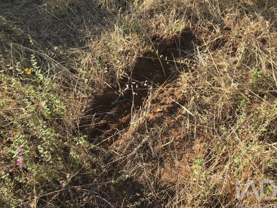 Terreno para Venda em Chãos Foto 25