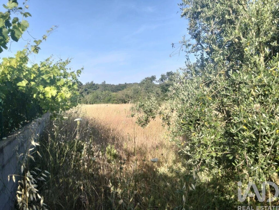 Terreno para Venda em Chãos Foto 27