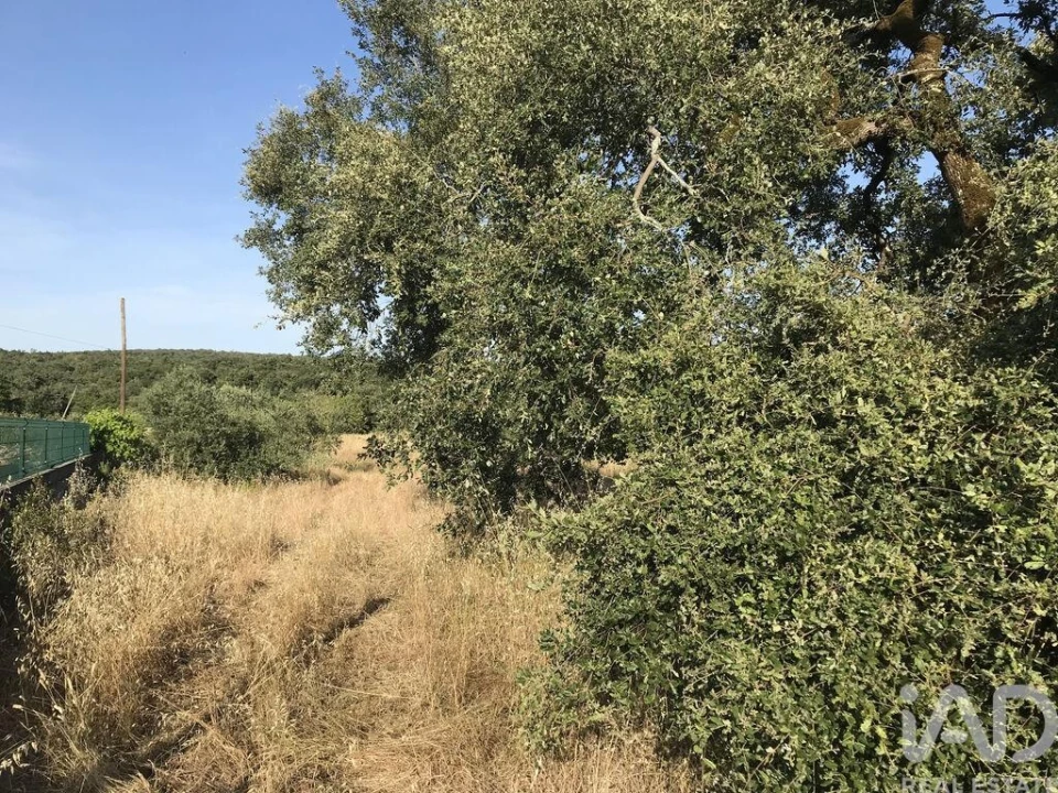Terreno para Venda em Chãos Foto 10