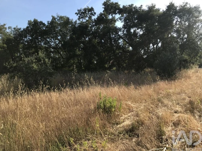 Terreno para Venda em Chãos Foto 15