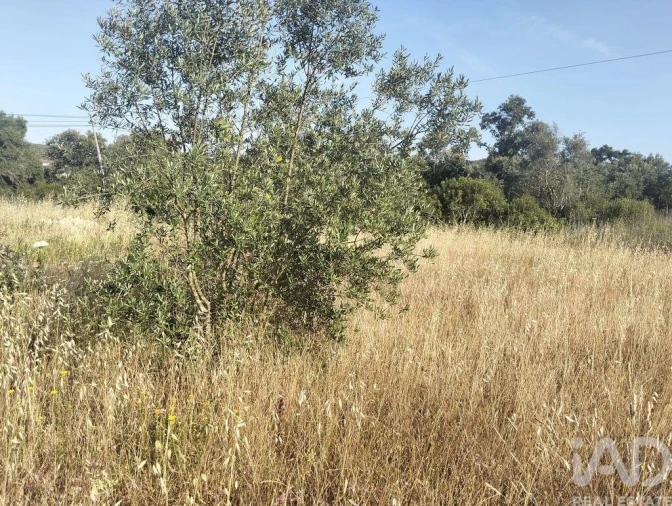 Terreno para Venda em Chãos Foto 31
