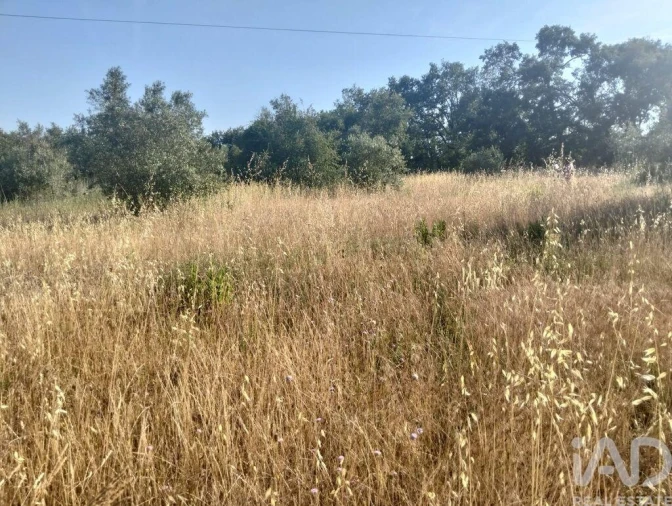 Terreno para Venda em Chãos Foto 30