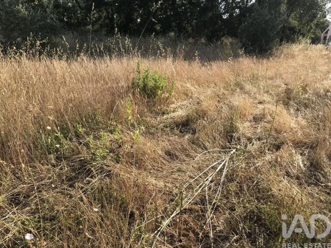 Terreno para Venda em Chãos Foto 23