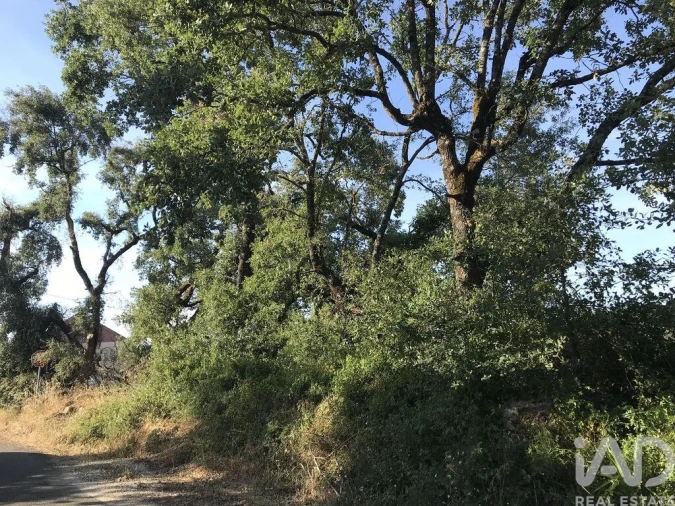 Terreno para Venda em Chãos Foto 7