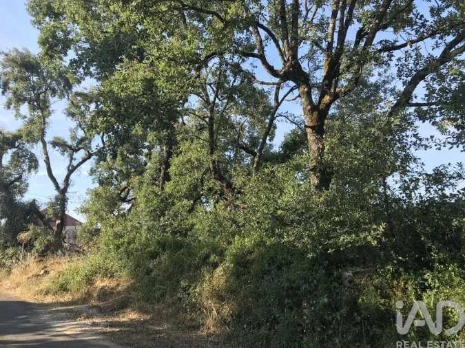 Terreno para Venda em Chãos Foto 2