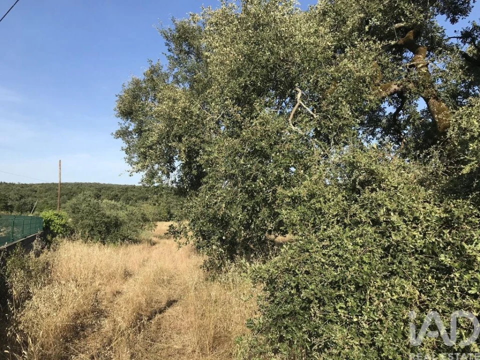 Terreno para Venda em Chãos Foto 9