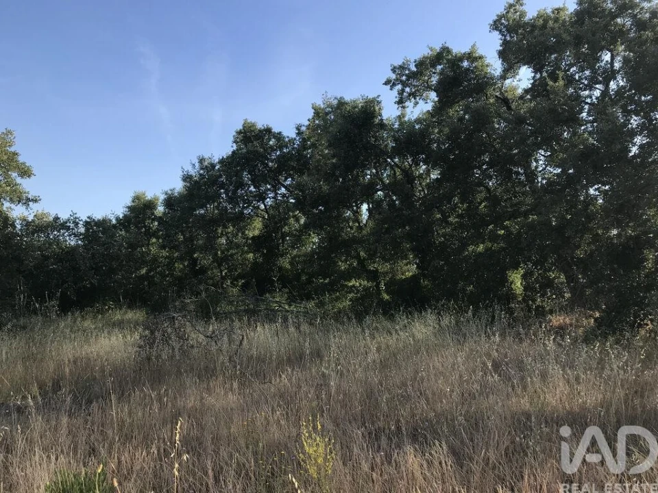 Terreno para Venda em Chãos Foto 16