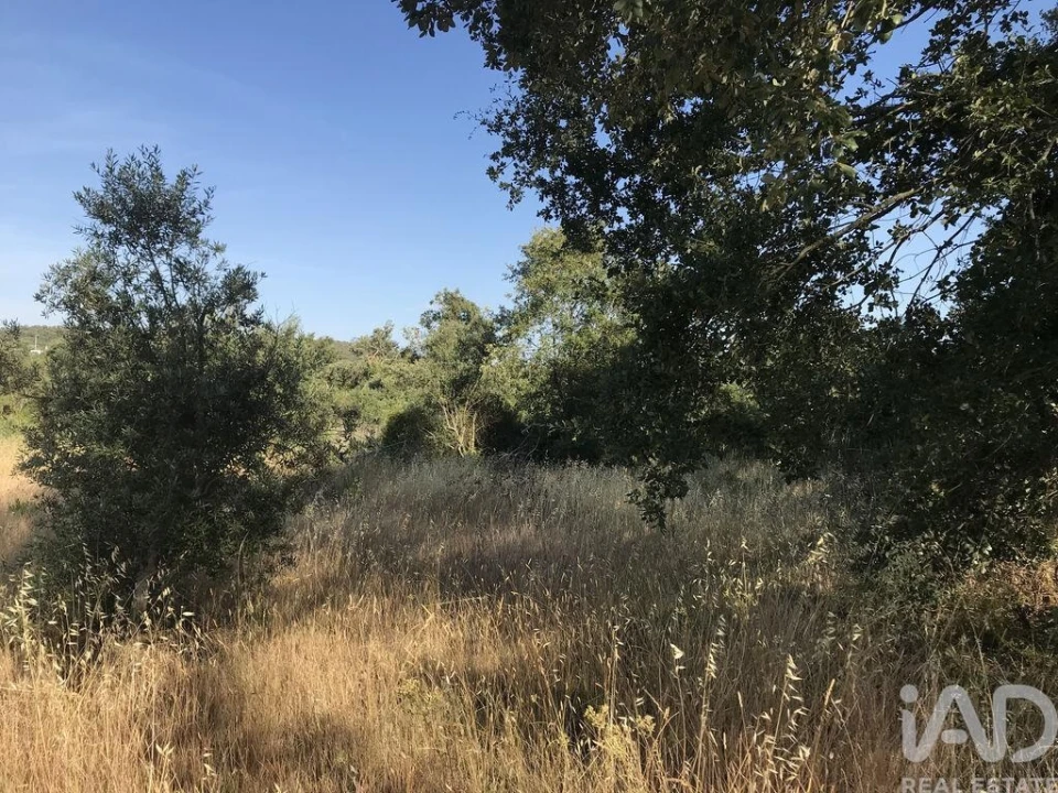 Terreno para Venda em Chãos Foto 8