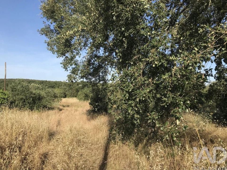 Terreno para Venda em Chãos Foto 3