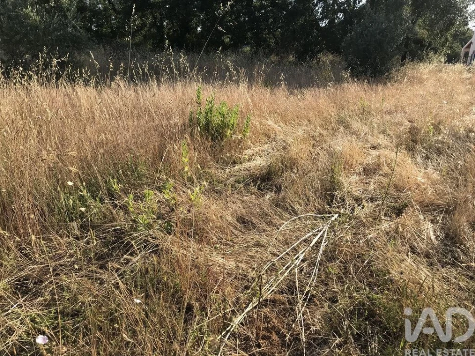 Terreno para Venda em Chãos Foto 23