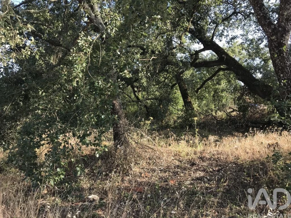 Terreno para Venda em Chãos Foto 18
