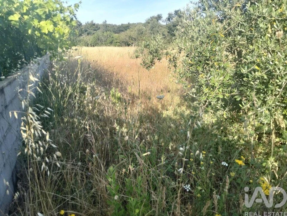 Terreno para Venda em Chãos Foto 28