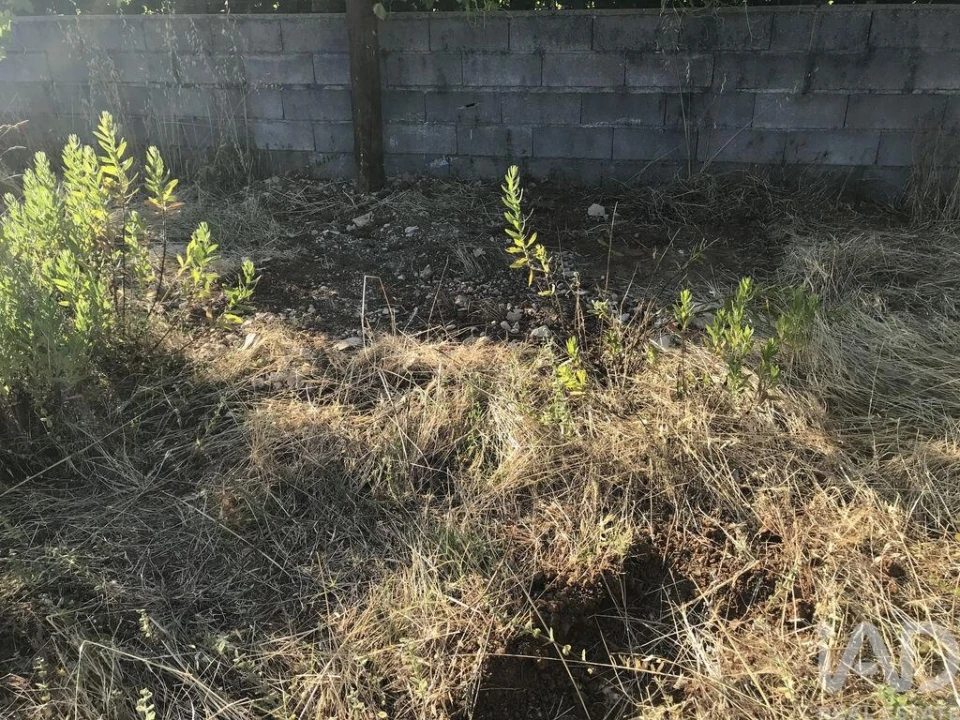 Terreno para Venda em Chãos Foto 24