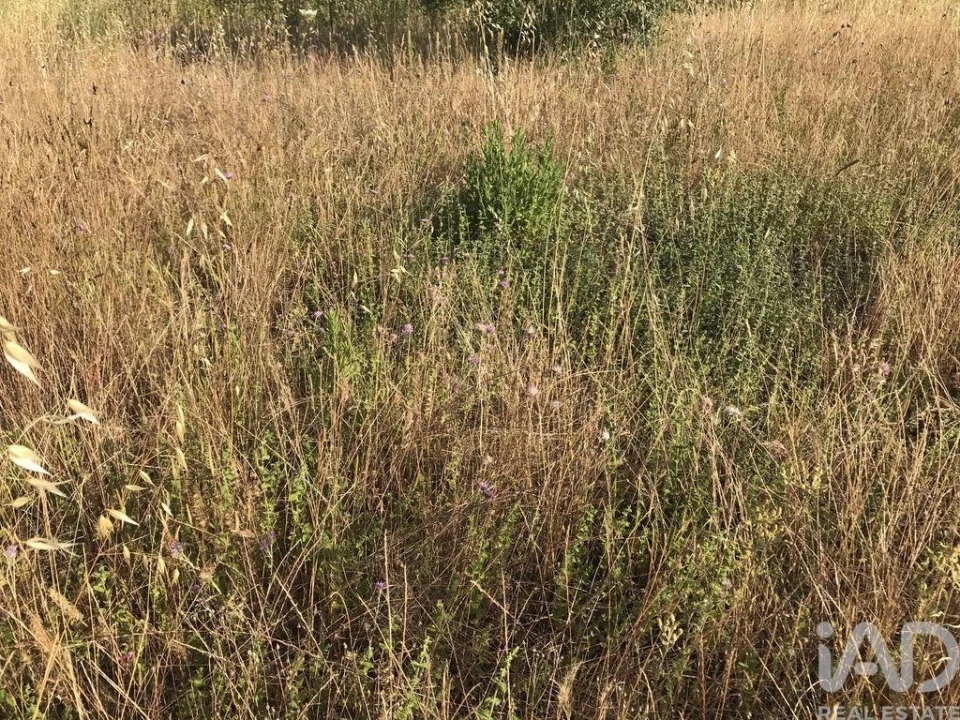 Terreno para Venda em Chãos Foto 21