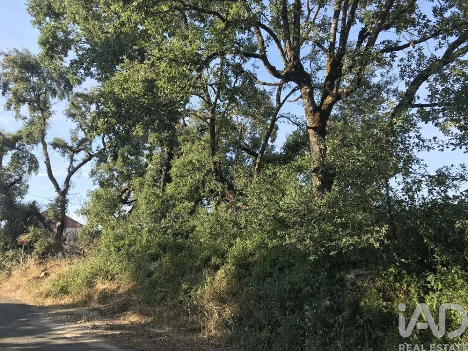 Terreno para Venda em Chãos Foto 2
