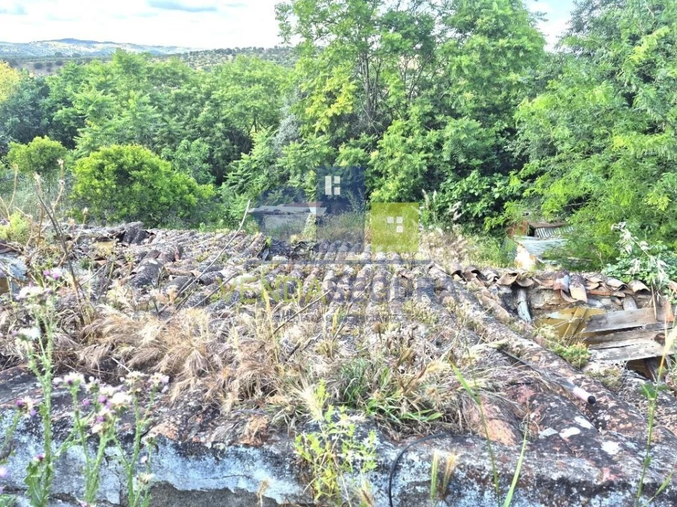 Terreno para Venda em Safara e Santo Aleixo da Restauração Foto 20