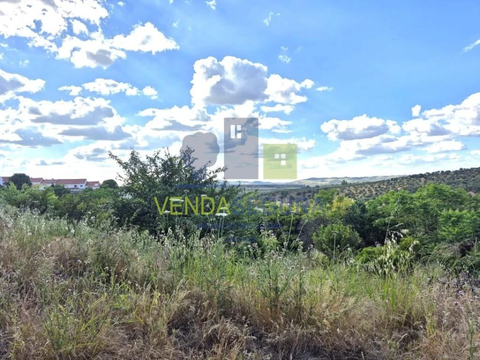 Terreno para Venda em Safara e Santo Aleixo da Restauração Foto 23