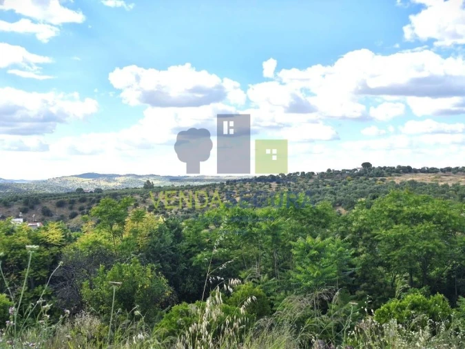 Terreno para Venda em Safara e Santo Aleixo da Restauração Foto 24
