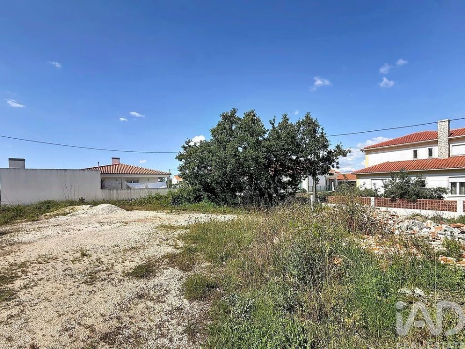 Terreno para Venda em Alqueidão da Serra Foto 3