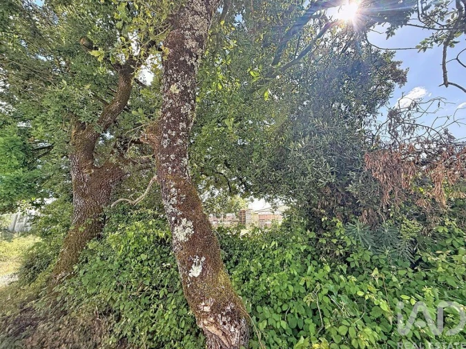 Terreno para Venda em Alqueidão da Serra Foto 14