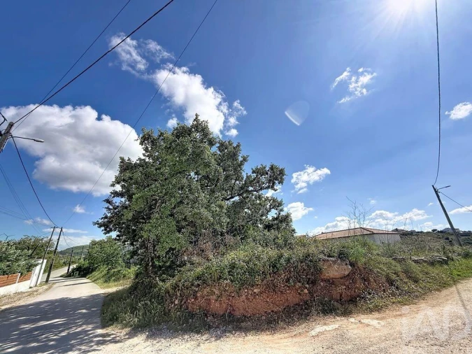 Terreno para Venda em Alqueidão da Serra Foto 13