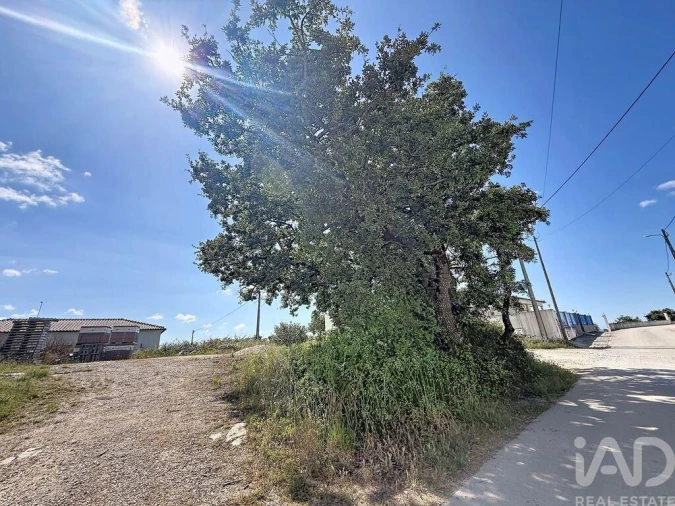 Terreno para Venda em Alqueidão da Serra Foto 5