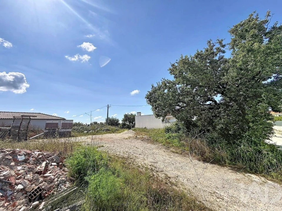 Terreno para Venda em Alqueidão da Serra Foto 18