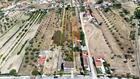 Moradia T4 para Venda em Carregueira